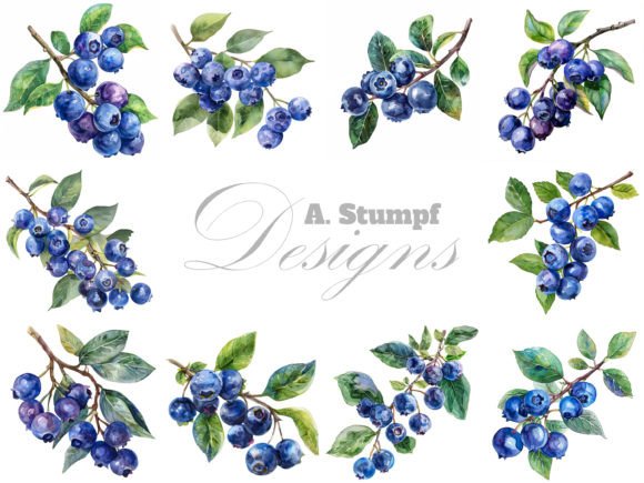 Blueberry Watercolor Fruits Clipart Set: A Designer's Guide