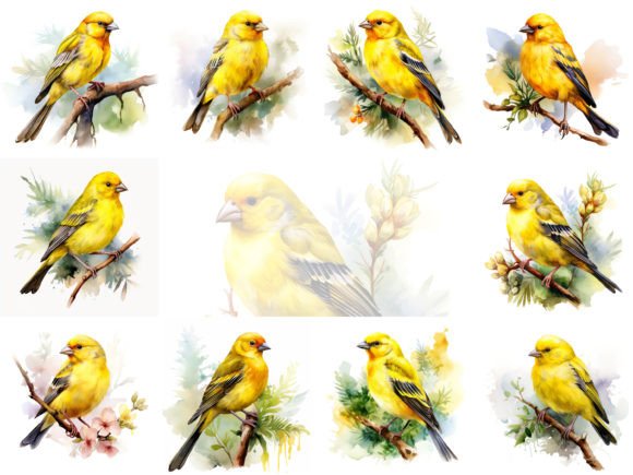 Canary Watercolor Clipart Set: A Designer's Fresh Palette