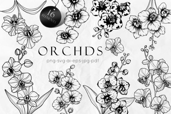 Orchid Flowers Line Art SVG: Elevate Your Creative Projects