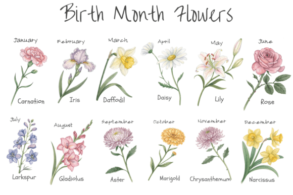 The Language of Blooms: Integrating Birth Month Flowers into Your Design Workflow
