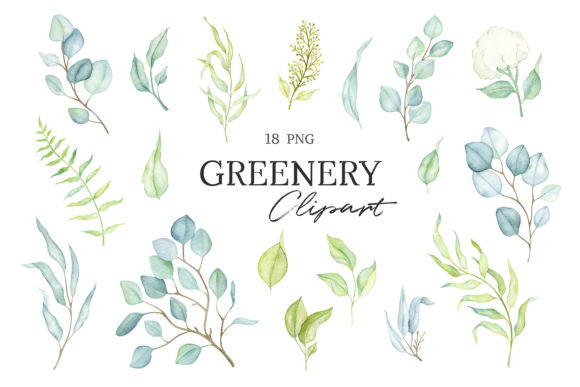 Unlocking Nature's Palette with Watercolor Eucalyptus Greenery Clipart