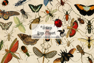Vintage Bugs Clipart: A Designer’s Guide to Antique Elegance