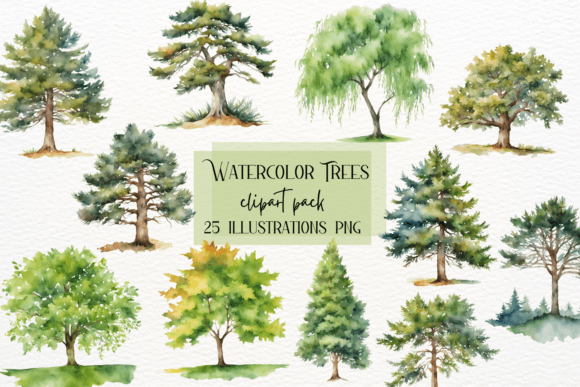 Watercolor Forest Trees Clipart, Pine: A Designer's Guide