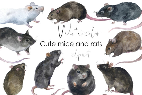 Watercolor Rodents Clipart: Charming Mice & Rats for Creatives