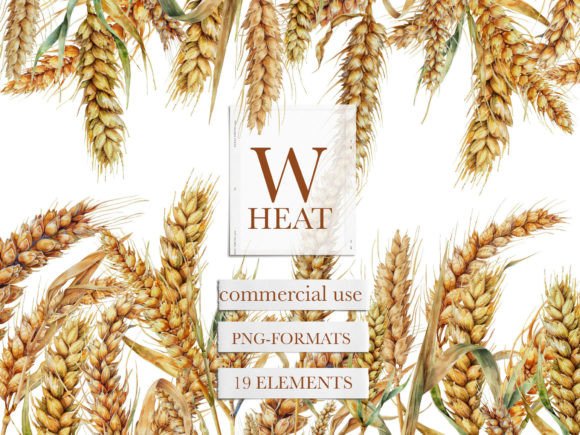 Wheat Watercolor Clipart: Elevate Your Creative Projects