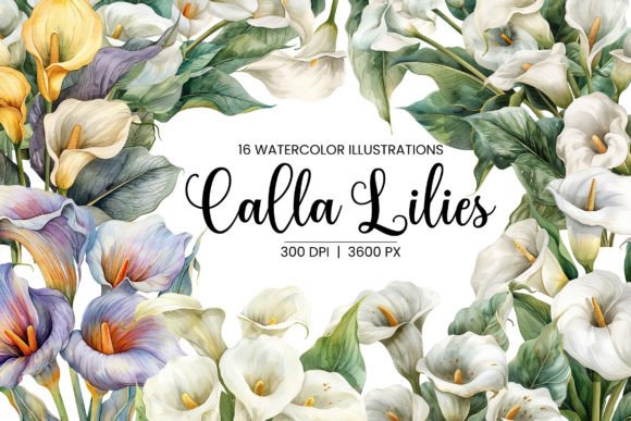 White Lilies Calla Lillies Watercolor: Elegant Floral Design Assets